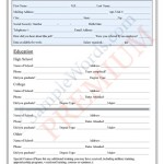 Job Application Form - Premium