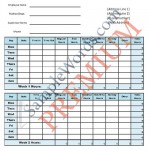 Premium Monthly Timesheet - Page 1