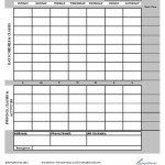 College Weekly Planner
